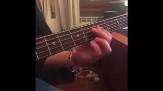 🎸Sterling Ray35 Bass 🎸 