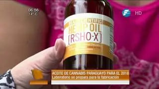 Aceite de cannabis paraguayo desde el 2018