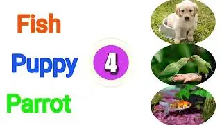 Matching Worksheet || Match the Words with Pictures. English Worksheet for kids Spelling Worksheets