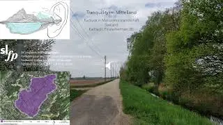 Seeland, Kallnach, Finsterhennen - Kuckuck in Meliorationslandschaft