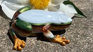 #55 Froggy Friday Collab!!!