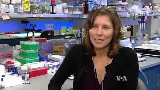 Controlling Lifestyle and Environmental Factors in the Fight Against Cancer