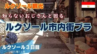 〈エジプト・ルクソール観光〉知らないおじさんと歩くルクソール【Egypt Vlog Day7】