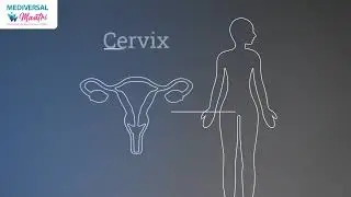HPV Vaccine for Cervical Cancer | Safe Vaccination at Mediversal Maatri Hospital