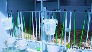 Topcalf Trio Easy-clean calf hutch | The innovative Easy-clean System in action