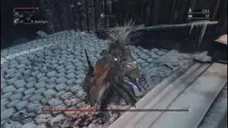 Martyr Logarius - BL4