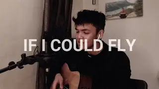 One Direction - If I Could Fly (Acoustic Cover)