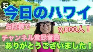 【今日のハワイ】Hawaii Today お陰様でチャンネル登録者数 9,000人になりました！のお礼動画です！#ハワイ 2026年1月28日