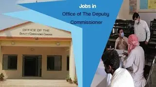Deputy commissioner office jobs 2022 | new jobs Online apply |