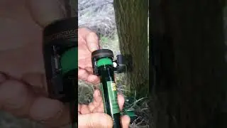 🌳 #geocaching