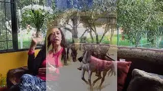 Los Turcos Selyúcidas (Historia de Turquía #2)