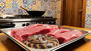 Inside a Modern Snake Meat Factory Revealing a Rare and Carefully Controlled Production Process
