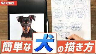 犬の描き方 》色んな犬種の描き方レクチャー動画！ ペット /  絵が上手くなる / イラスト上達
