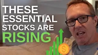 These Essential Stocks Are Rising | EP 5