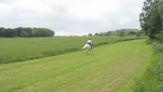 Godmersham Gallops