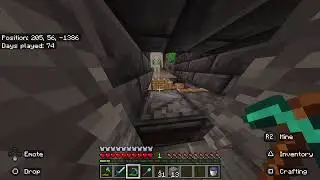 Farming and End city looting