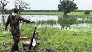 Olive Finished Water Blind Cowtown Hunt Test 2024