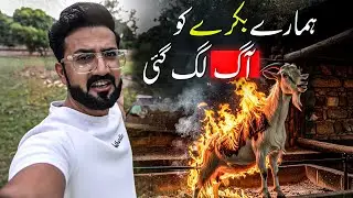 Humaray bakray ko aag lag gayi! 😱🔥 Dekhiye phir kya hua&hellip;
