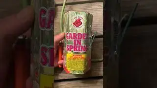 Garden in Spring #fireworks #pyro #shorts #subscribe #like #fireworkshorts