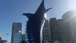 Marlin Azul  Praia do Morro, Guarapari, Esp&iacute;rito Santo, Brasil