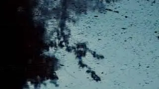 Unidentified Song (