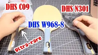 Hidden Gems of DHS: Reviewing the W968-8, DHS N301, and the Mythical DHS C09