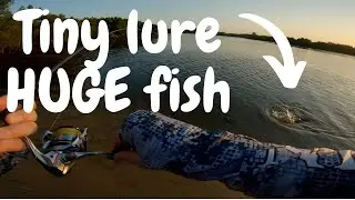 Finding a Big one! - Ultra-Light spinning Richards Bay