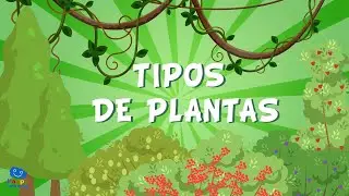 LOS TIPOS DE PLANTAS | V&iacute;deos Educativos para Ni&ntilde;os