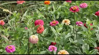 Farm Fresh Appalachian Farm Tours: Moyer Family Farm