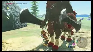 how to kill a lynel