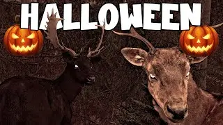 All Hallows Eve Event | Way of The Hunter