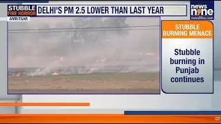 Delhi Air Pollution Crisis: Stubble Burning Contribution Drops, Experts Warn of Future Spike | News9