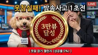 푸딩이가 막 던지는 넌센스 퀴즈! 🐶 (몇 개나 맞출 수 있는지 도전해 보세요~ ㅋㅋㅋ)