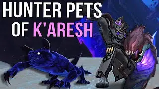 Every New Hunter Pet in 11.2 Ka'resh and Where to Find Them | 11.2 Ghosts of K'aresh