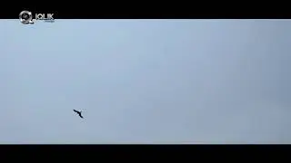 Rajakeeyalu