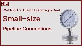 DIT-CS | Welding Tri-Clamp Diaphragm Seal for Small-size Pipeline Connections