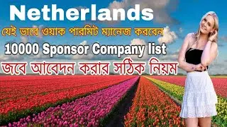 Netherlands work visa -Netherlands work visa sponsorship