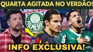 ANDRÉ HERNAN CRAVA SAÍDA NO PALMEIRAS! VEIGA TEM DECISÃO TOMADA!!