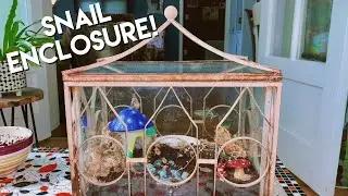 Antique Snail Cage Setup!
