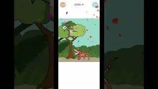 Super Swing Level 4