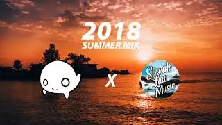 Endless Summer Mix | A Chill Mix | Streak Law Music X EИTITY