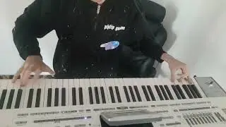 Săltăreața (cover KORG pa2Xpro)