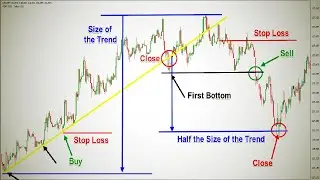 Understanding the 'Long' and 'Short' Types of Trades in Forex