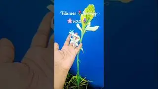 first time tuberose 🌷blooming hua he #terracegardenindia #gardenflowers