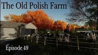 The Old Polish Farm / Episode 49 / Farming Simulator 22 PS5 Let's Play FS22