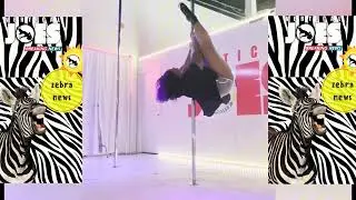 Zebra News 7.7.24