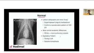 Veterinary CE - From Anatomy to Abnormality: Navigating Small Animal Pulmonary Radiographs