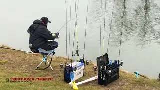 I.  TROUT AREA PERGETŐ OB DÖNTŐ