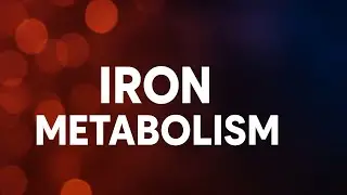 &ldquo;Iron Physiology Decoded: Clinical Relevance in One Video&rdquo;