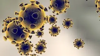 WATCH: Update on Washington state case of coronavirus